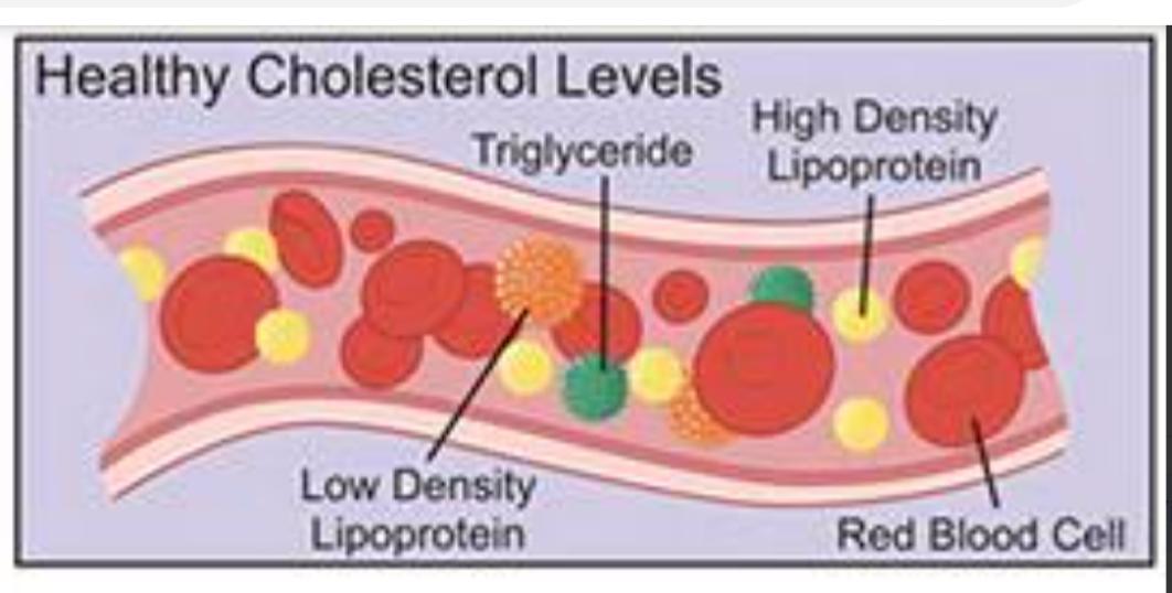 What Is Mixed Hyperlipidemia E78 2 at Mae Ramos blog